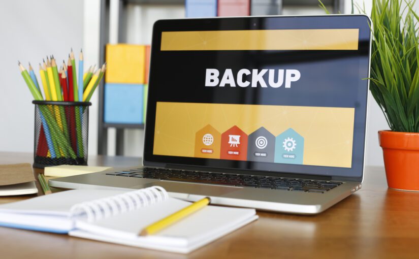 The Critical Importance of Website Backups